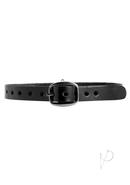 Strict Leather Choker Collar W/o Ring Md